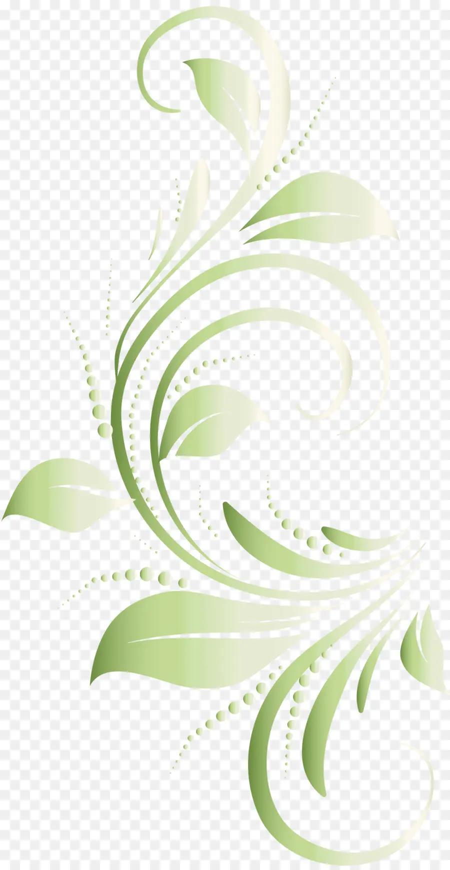 Diseño Floral Verde，Hojas PNG