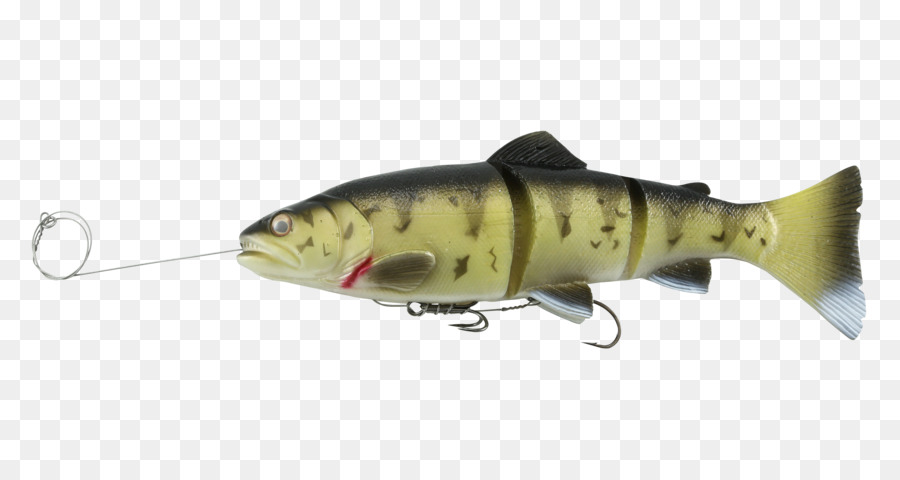 Cebo De Pesca，Trucha PNG