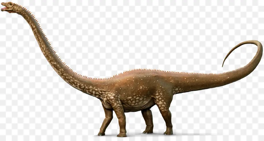 Diplodocus，Apatosauro PNG