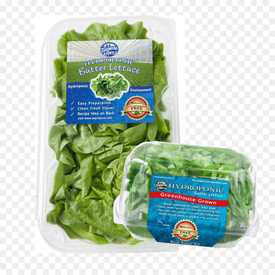 Lechuga，De Residuos De Plaguicidas PNG