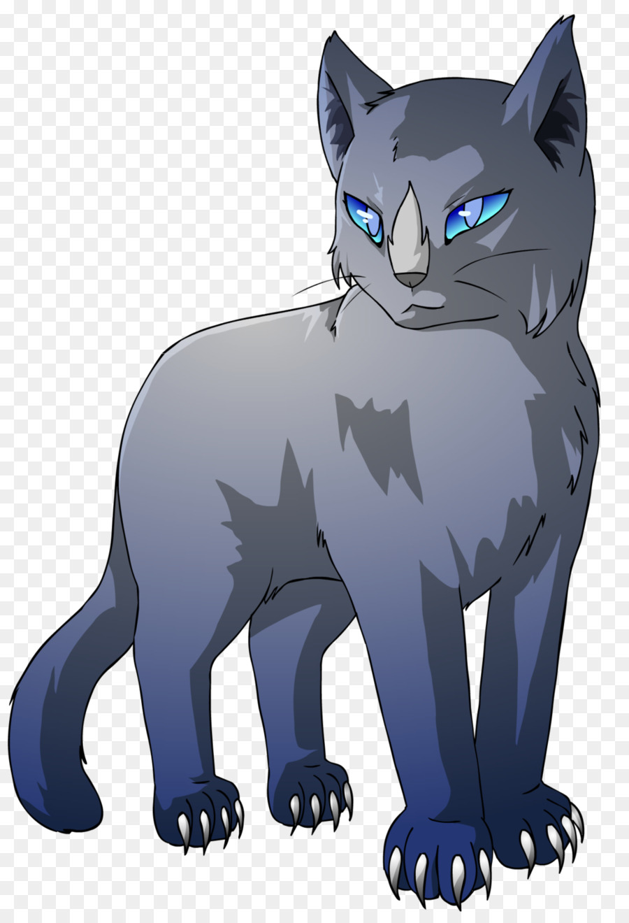 Gato Gris，Felino PNG