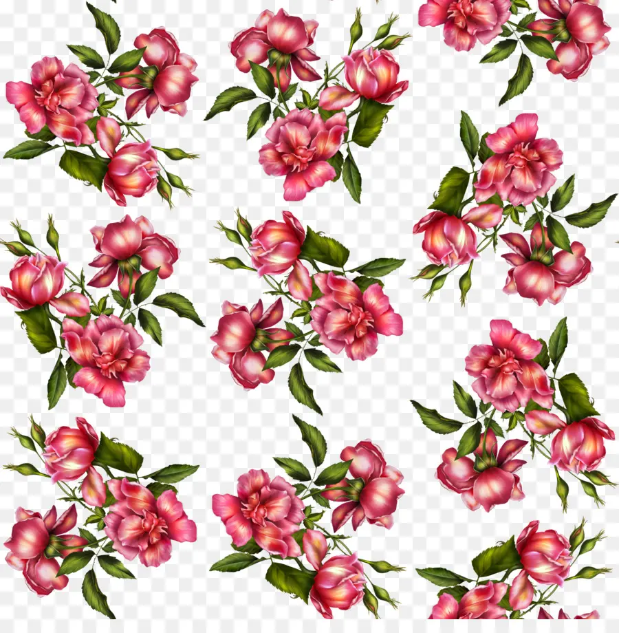 Flores Rosadas，Florecer PNG