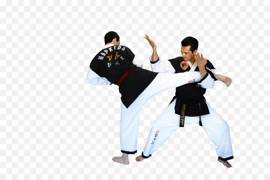 Hapkido，Las Artes Marciales PNG