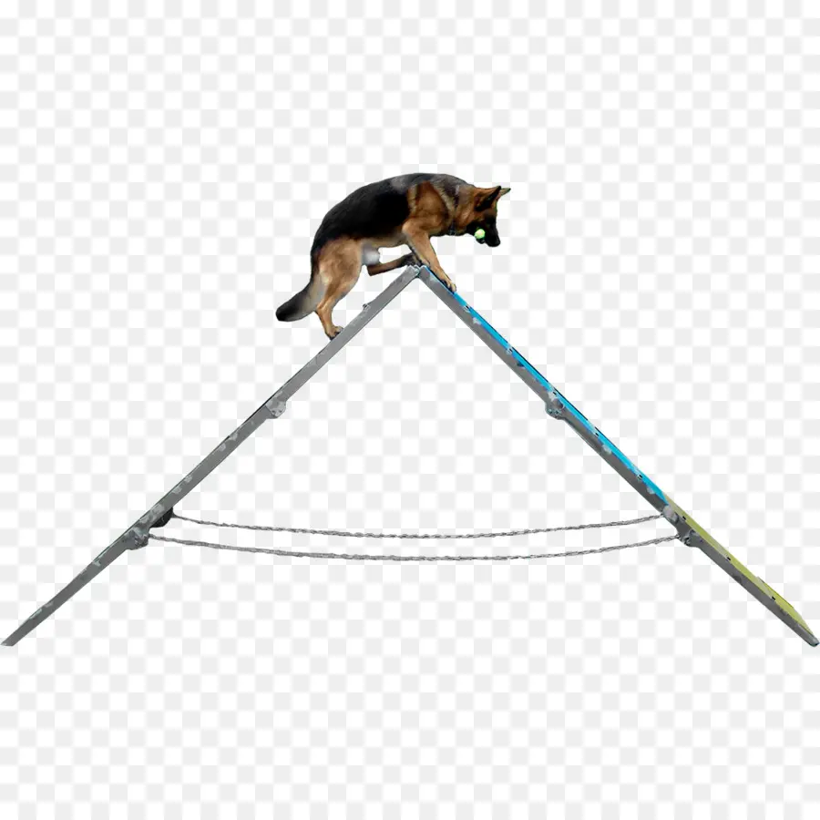 Perro En Rampa，Rampa PNG