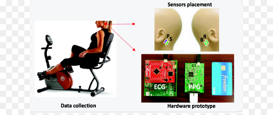 Electrocardiografía，La Frecuencia Cardíaca PNG