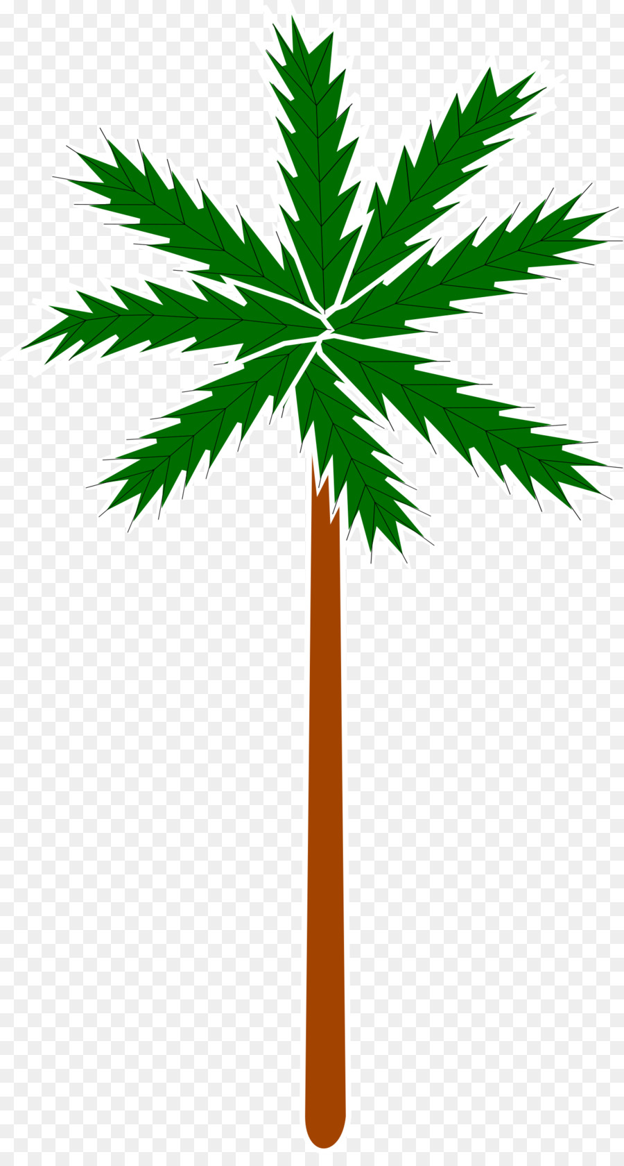 Arecaceae，árbol PNG