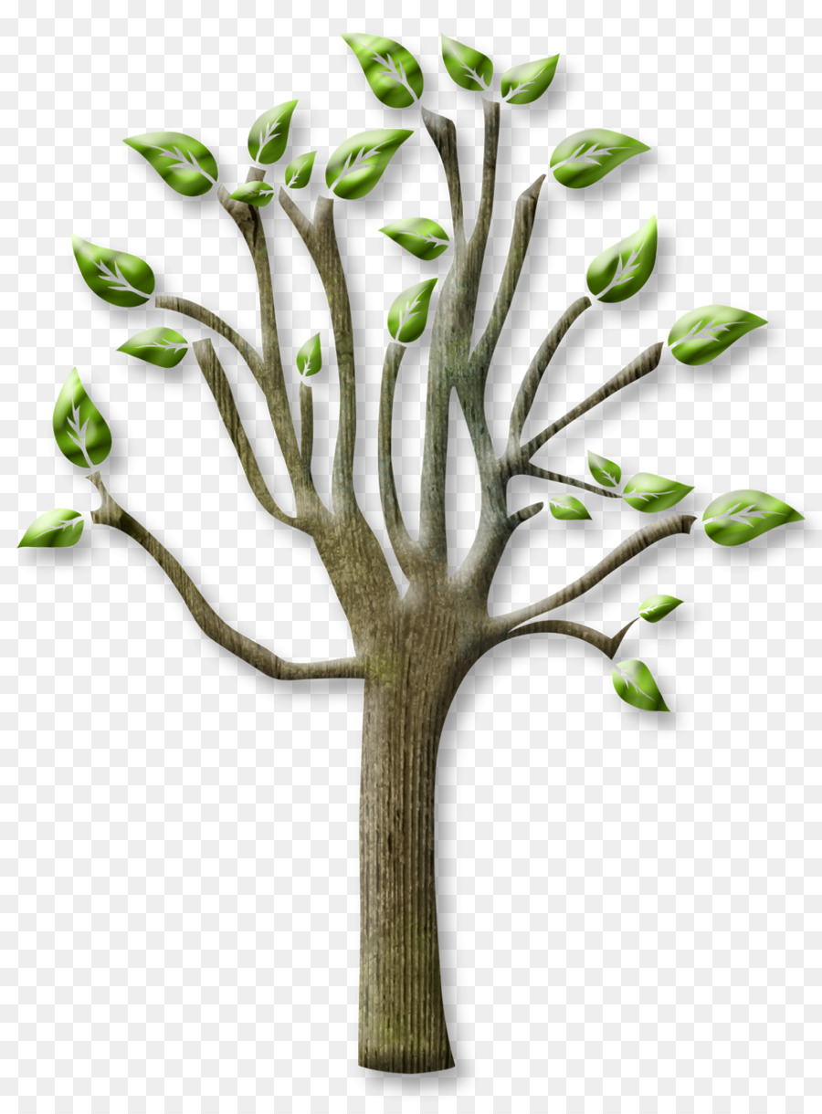 Árbol，Hojas PNG