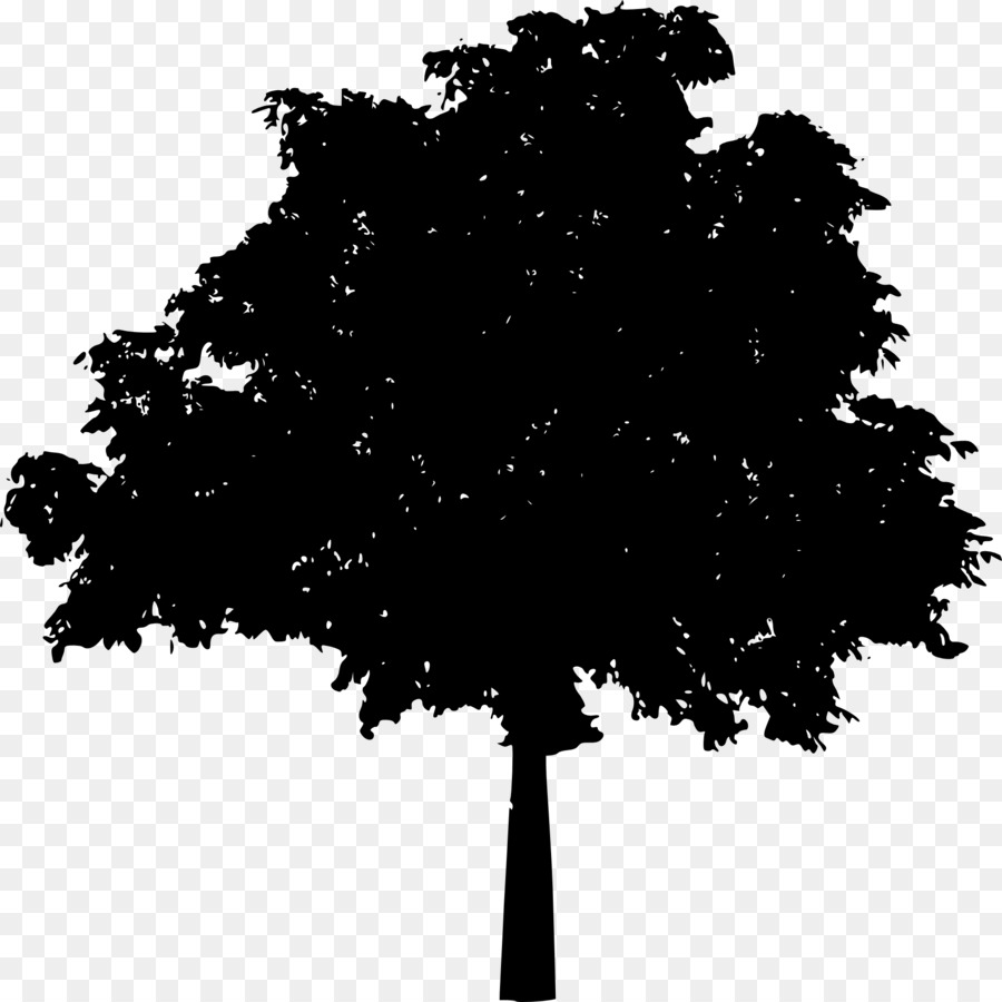 árbol，Silueta PNG