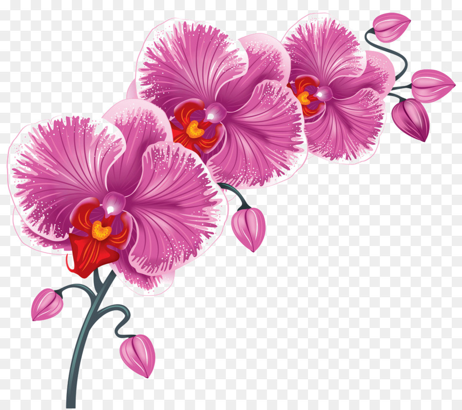 Flor，Fondo De Escritorio PNG