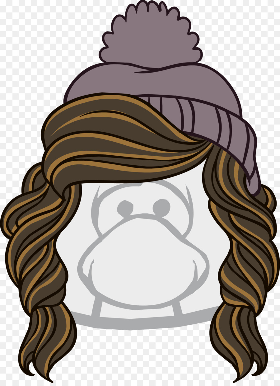 Club Penguin，Iconos De Equipo PNG