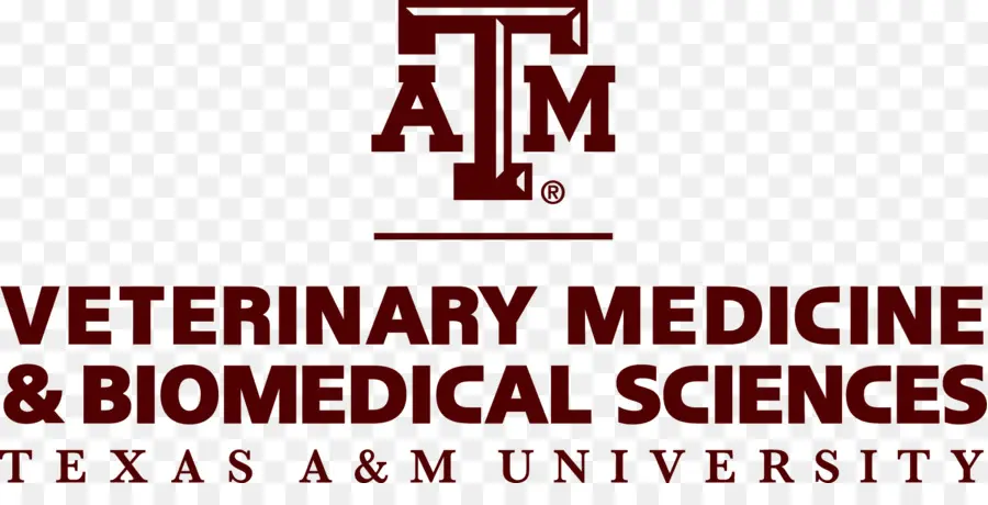 Logotipo De Texas A M，Veterinario PNG