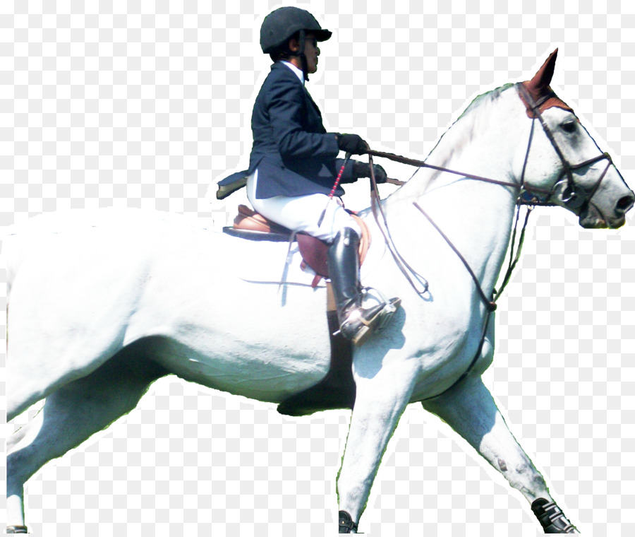 Jinete Del Caballo，Caballo PNG