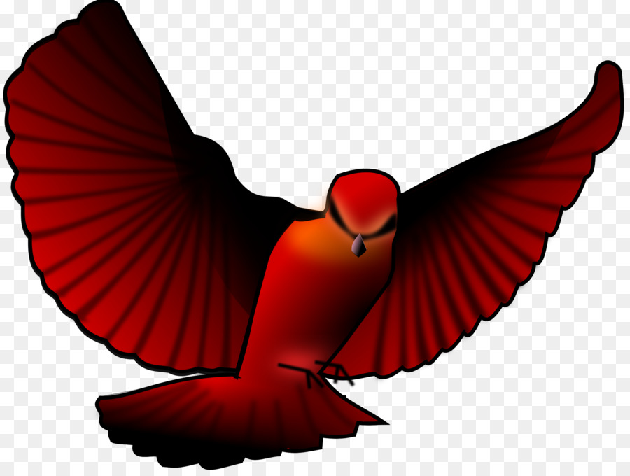 Pájaro，Cardenal Del Norte PNG