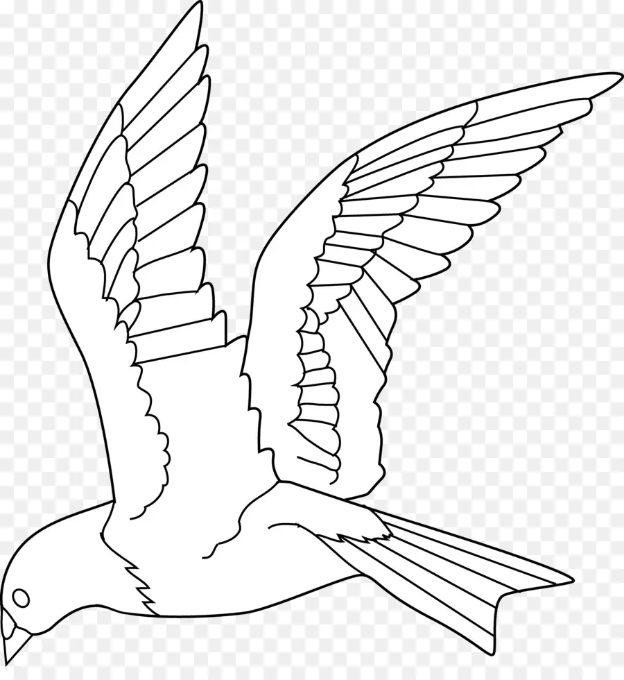 Pájaro，Dibujo PNG