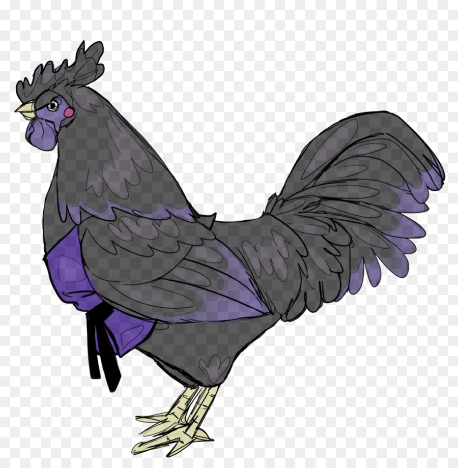 Pollo Negro，Pájaro PNG