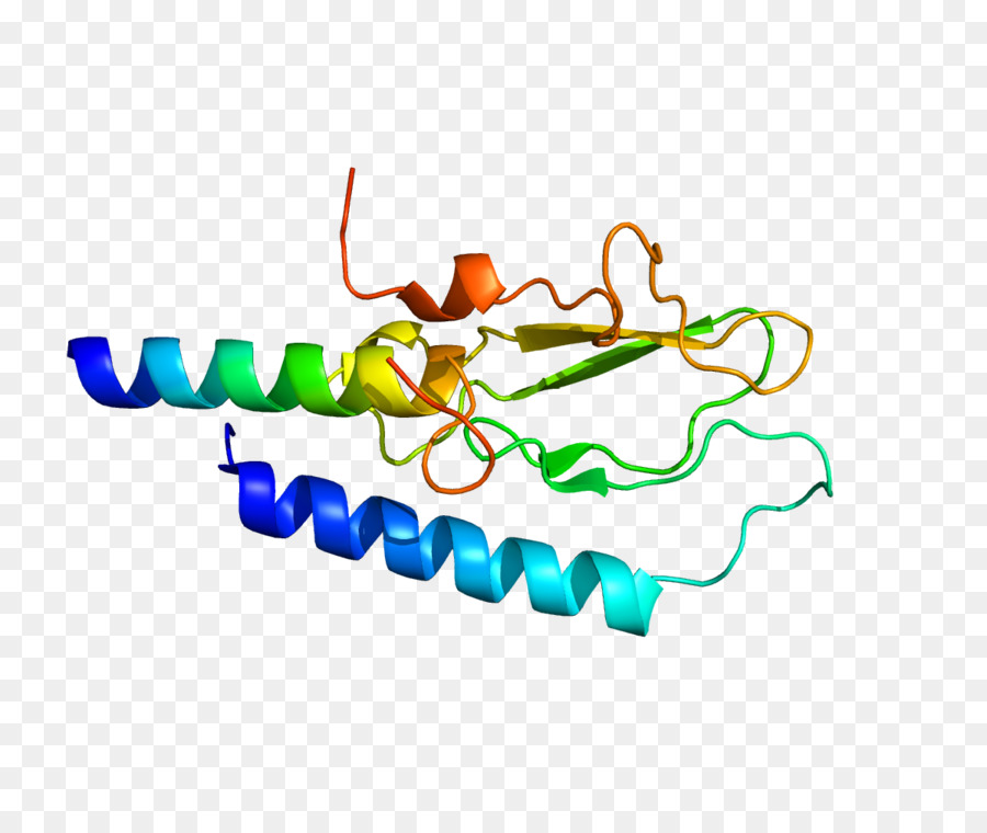 Glucagonlike Peptide1，Glucagonlike Peptide 1 Receptor PNG