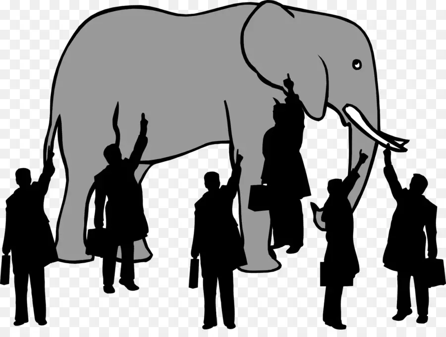 Elefante Y Gente，Elefante PNG