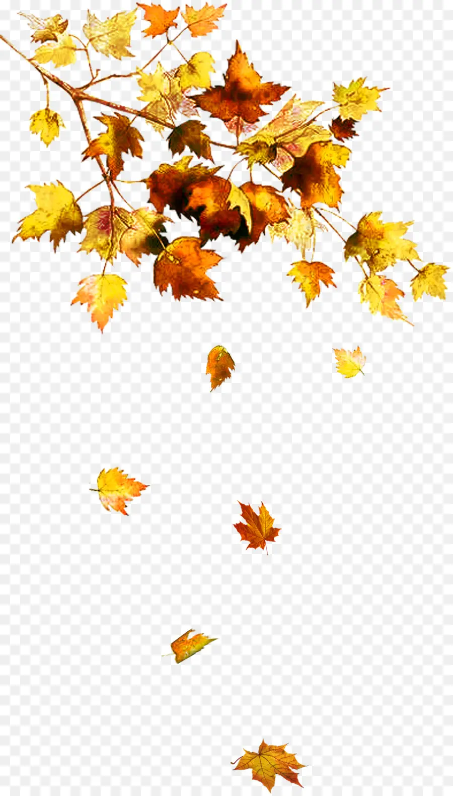 Hojas De Otoño，Caer PNG