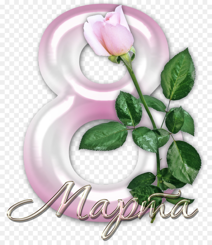 8 De Marzo，Rosa PNG