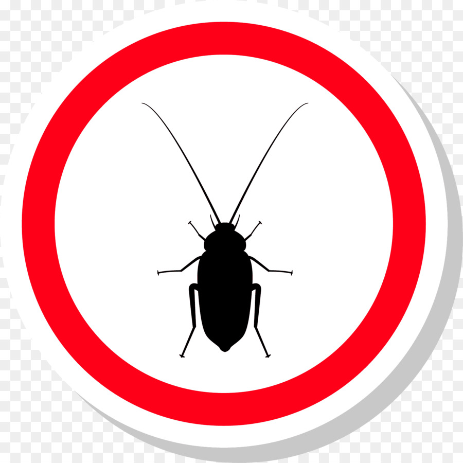 Cucaracha，Parásito PNG