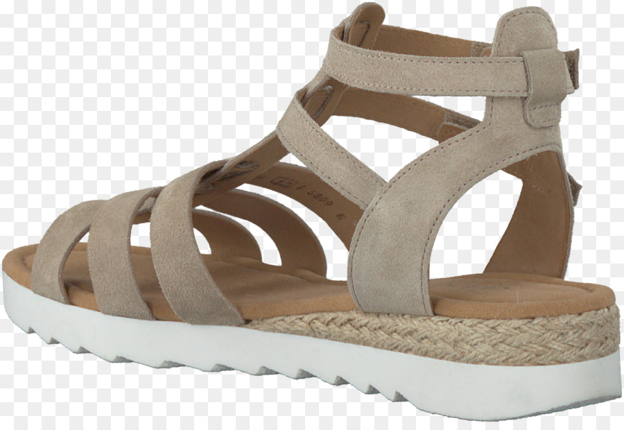 Zapato，Sandalia PNG