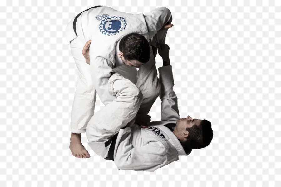 Artistas Marciales，Jiu Jitsu PNG