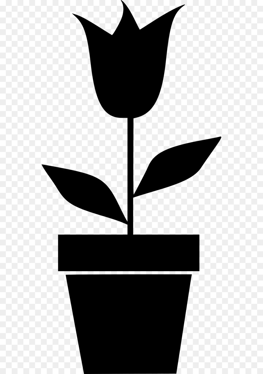 Planta，Maceta PNG