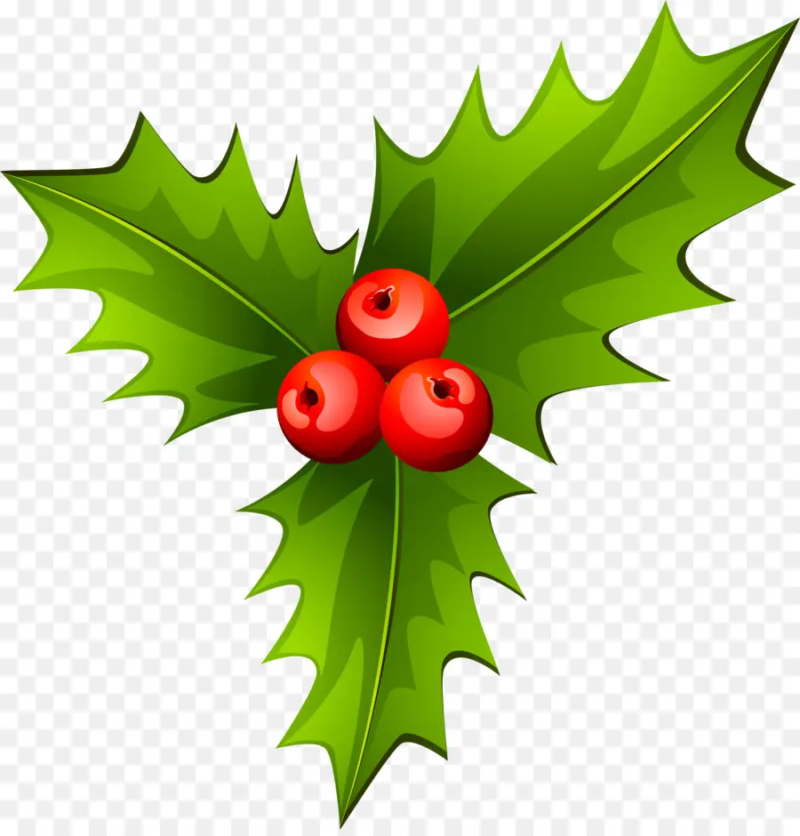 Holly，La Navidad PNG