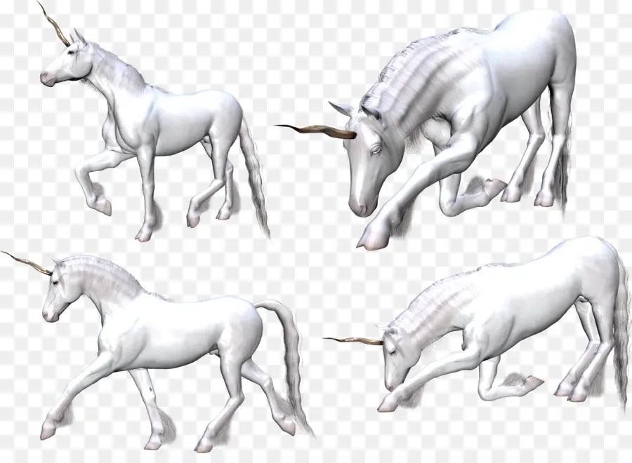 Unicornio，Cuerno PNG