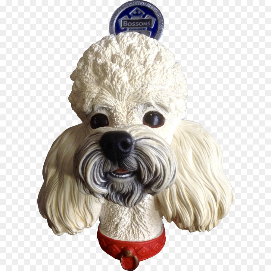 Caniche，Schnoodle PNG