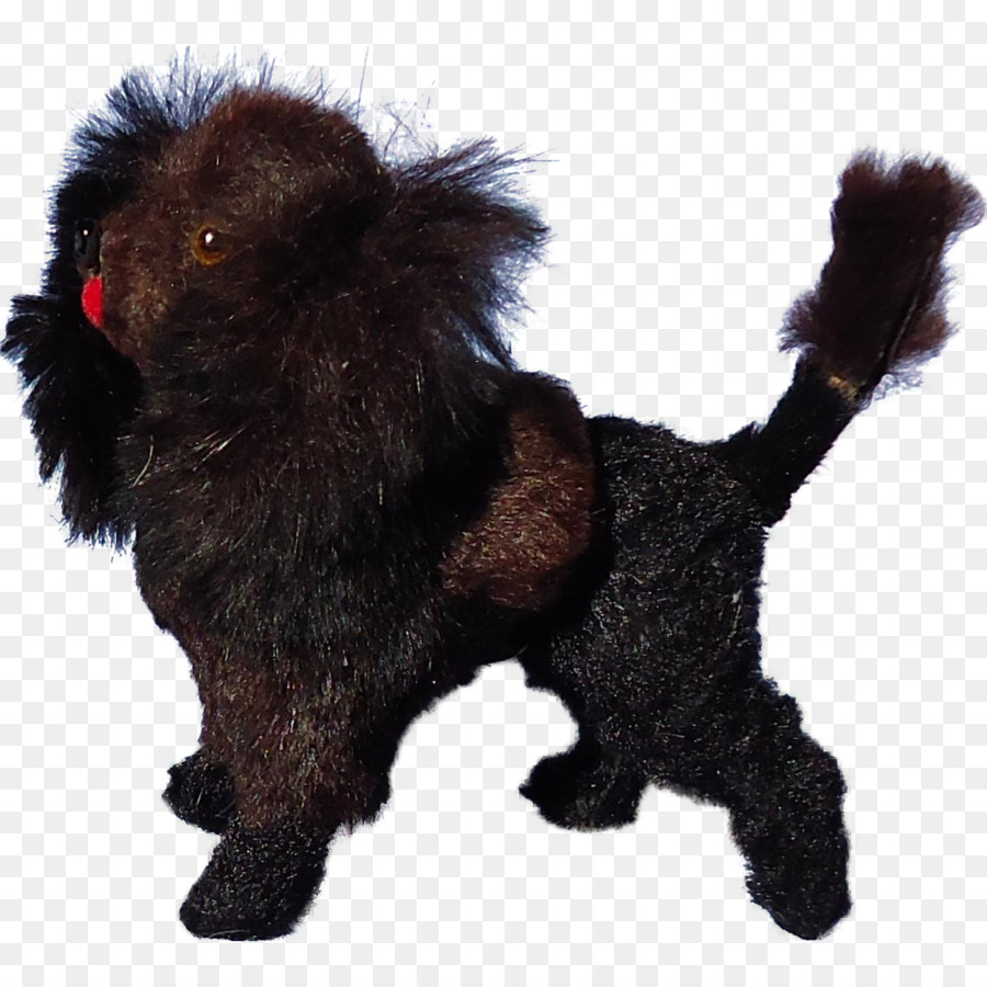 Affenpinscher，Raza De Perro PNG