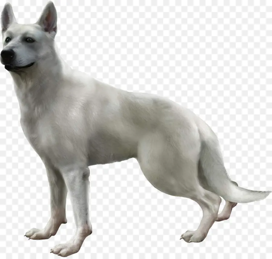 Haunting Ground，Resident Evil 4 PNG