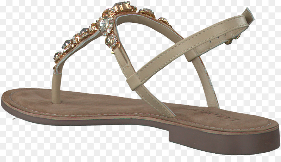 Sandalia，Zapato PNG