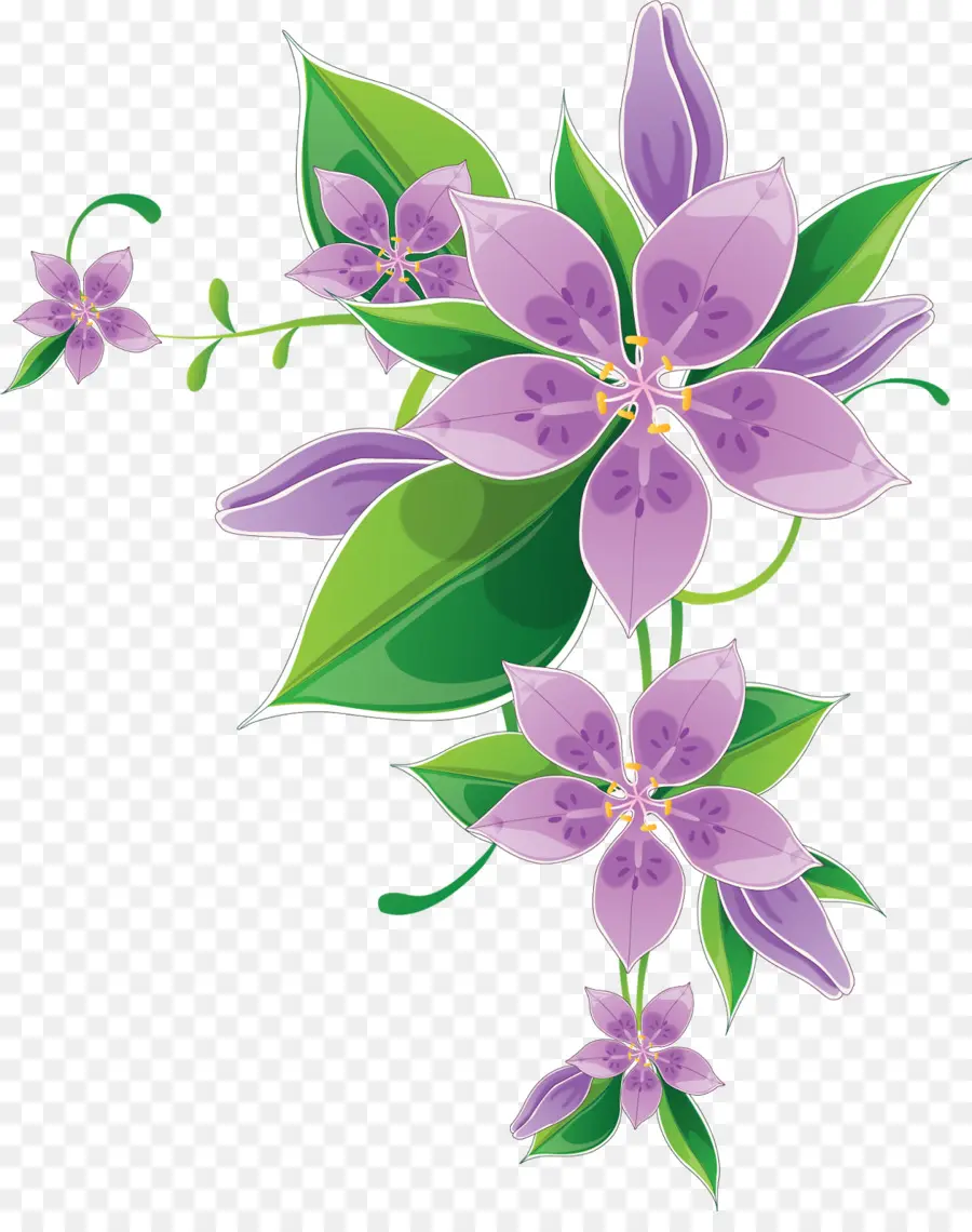 Frontera Flores，Dibujo PNG