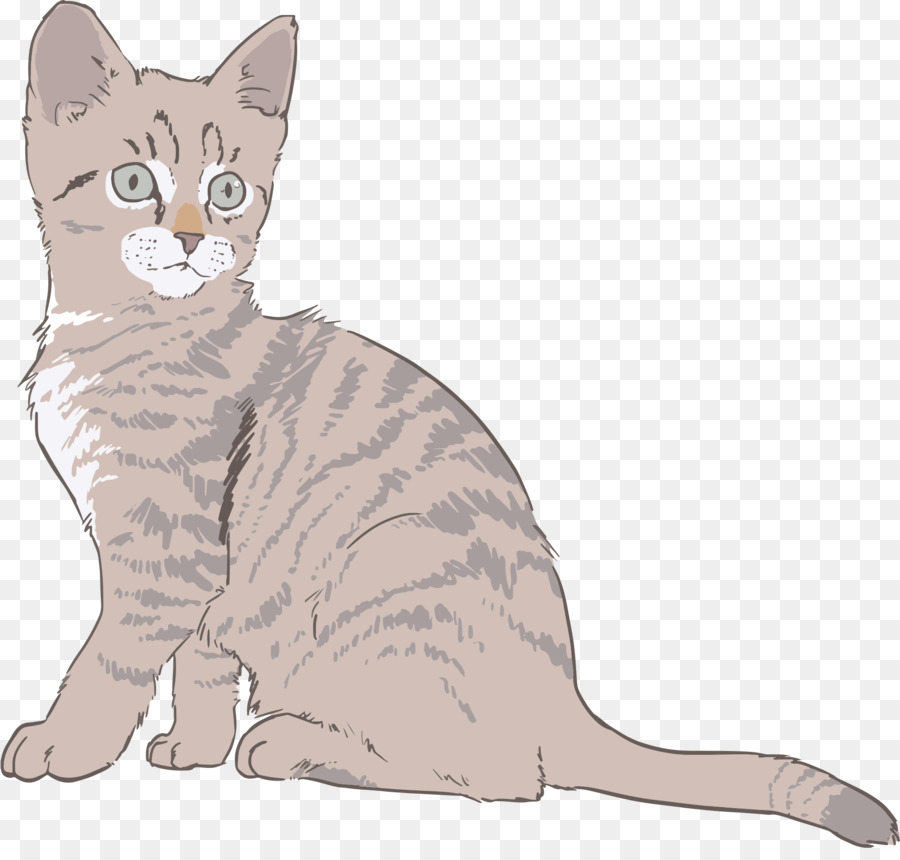 Dibujo De Gato，Mascota PNG