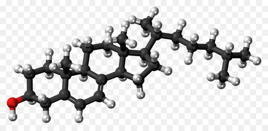 El Colesterol，La Lipoproteína De Alta Densidad PNG