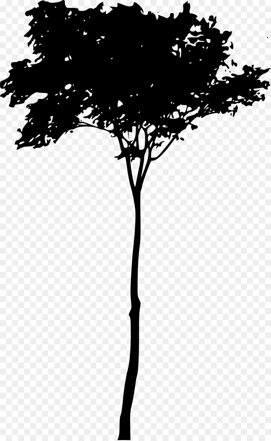 árbol，Planta Leña PNG