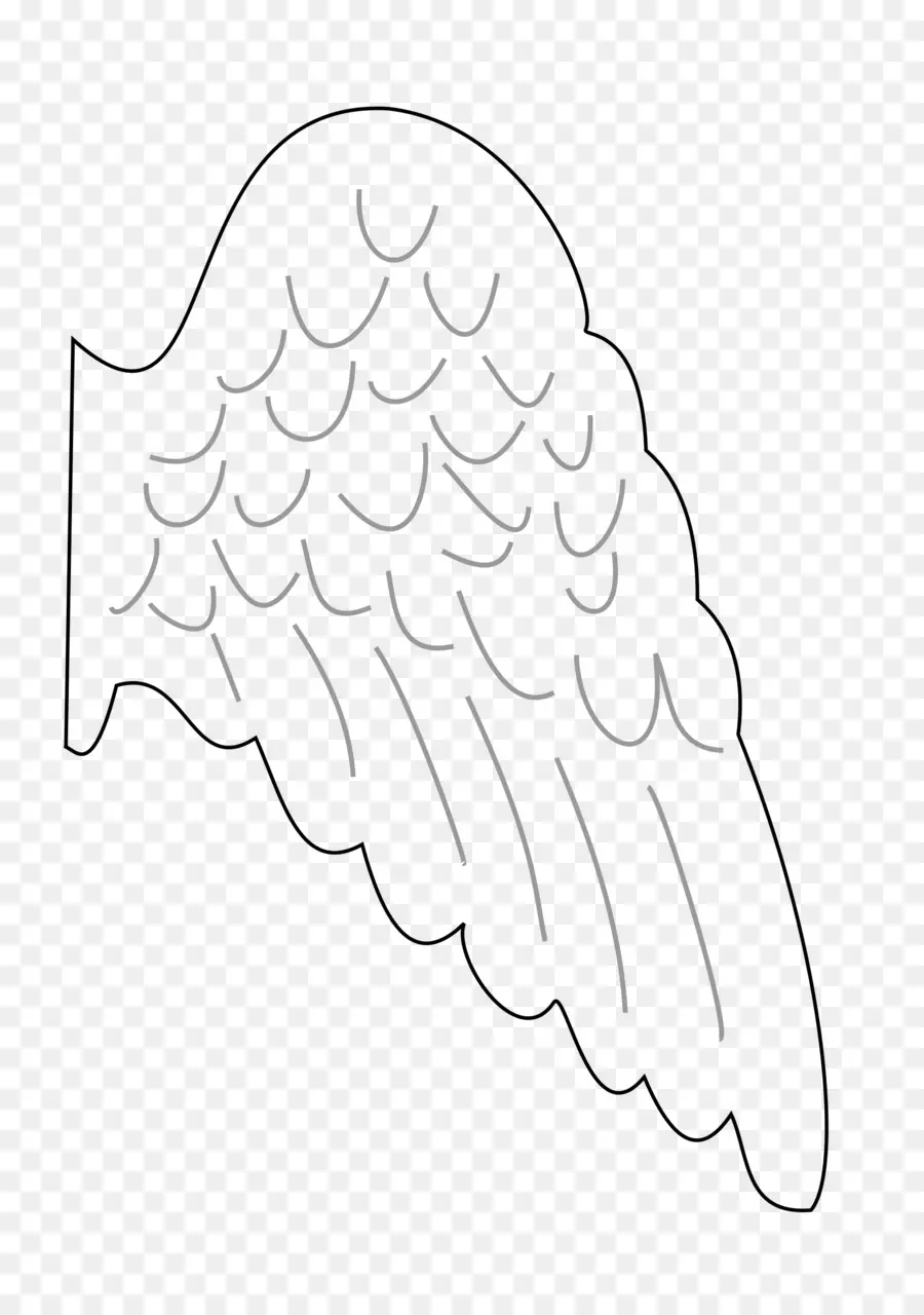 Ala，Pluma PNG