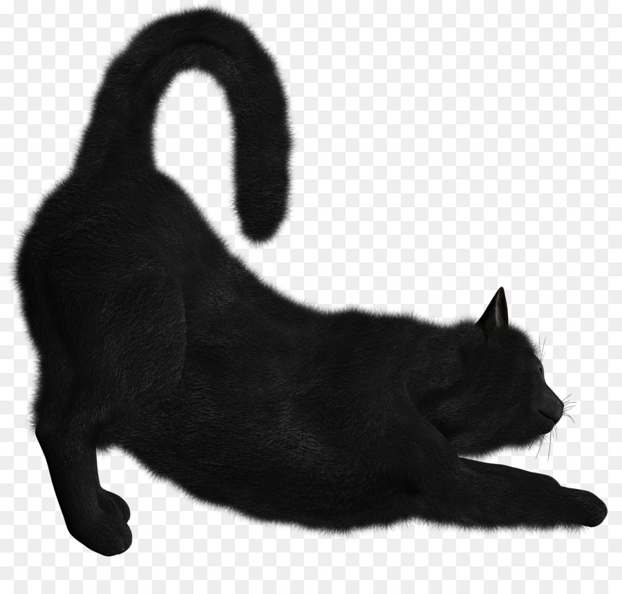 Silueta De Gato Negro，Mascota PNG