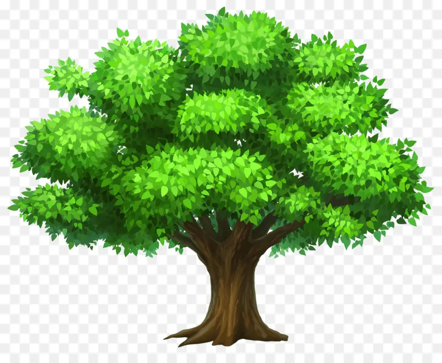 árbol，Fondo De Escritorio PNG