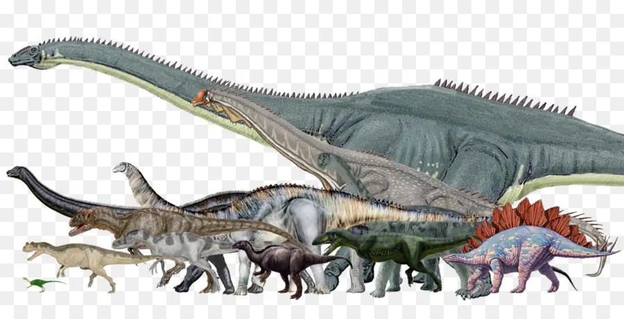 Dinosaurio De Tamaño，Morrison Formación PNG