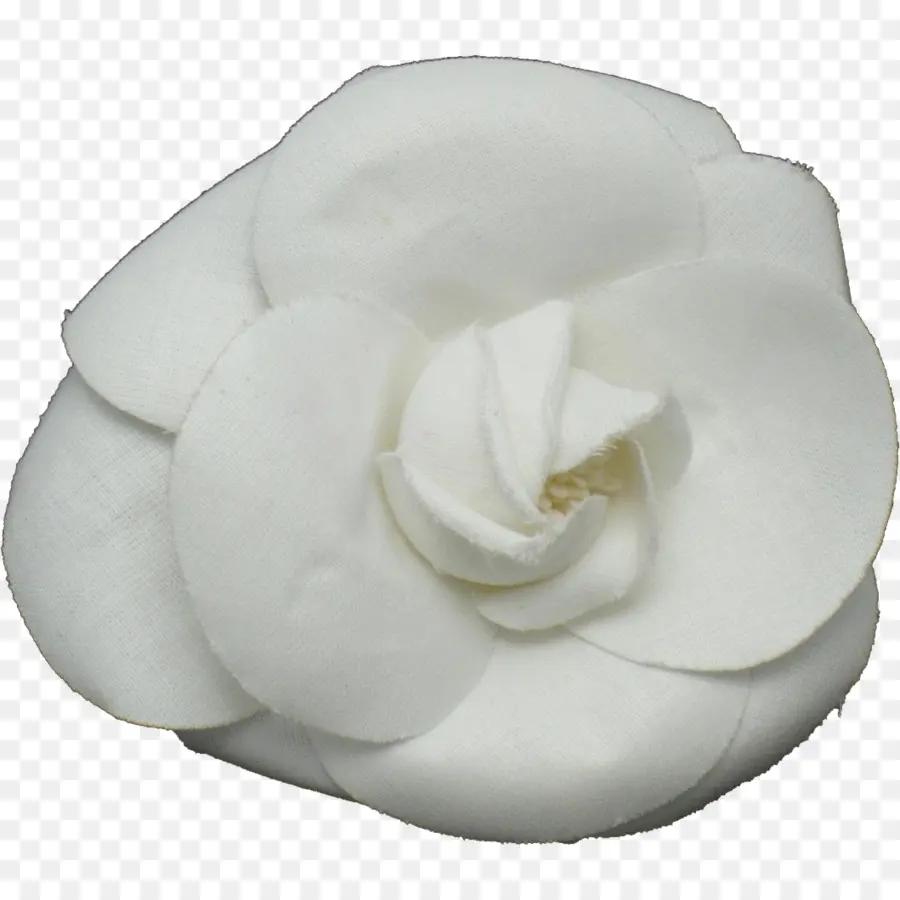 Flor Blanca，Pétalos PNG