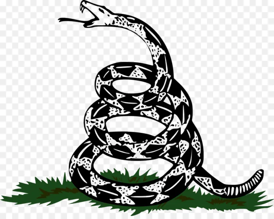 La Bandera De Gadsden，La Serpiente PNG