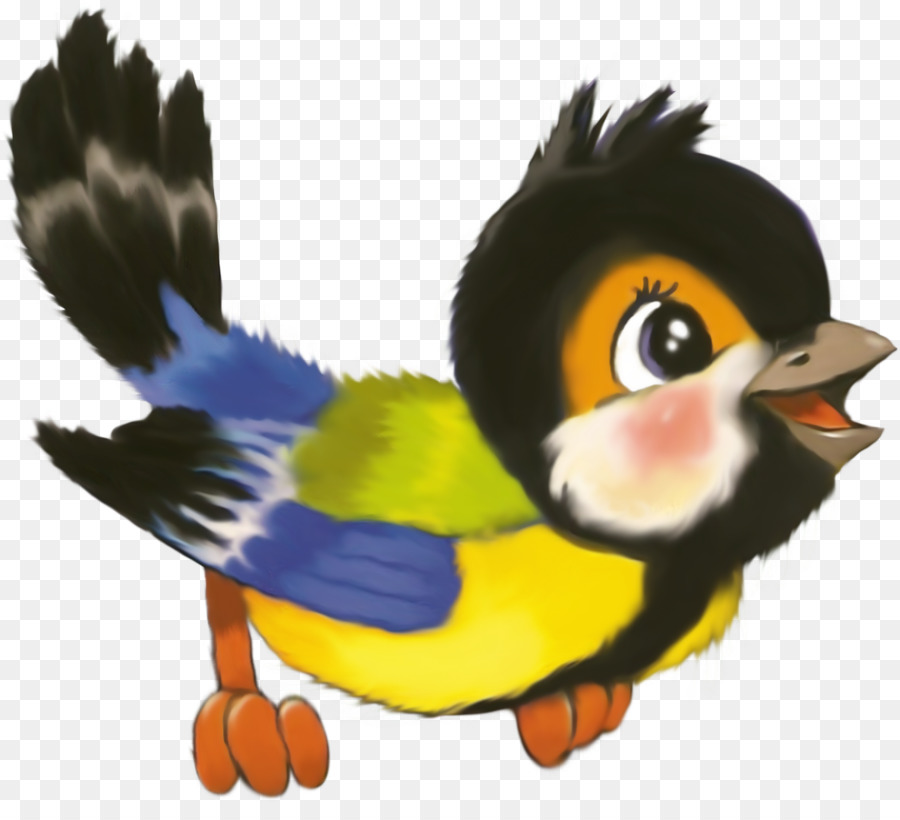 Pájaro，Plumas PNG