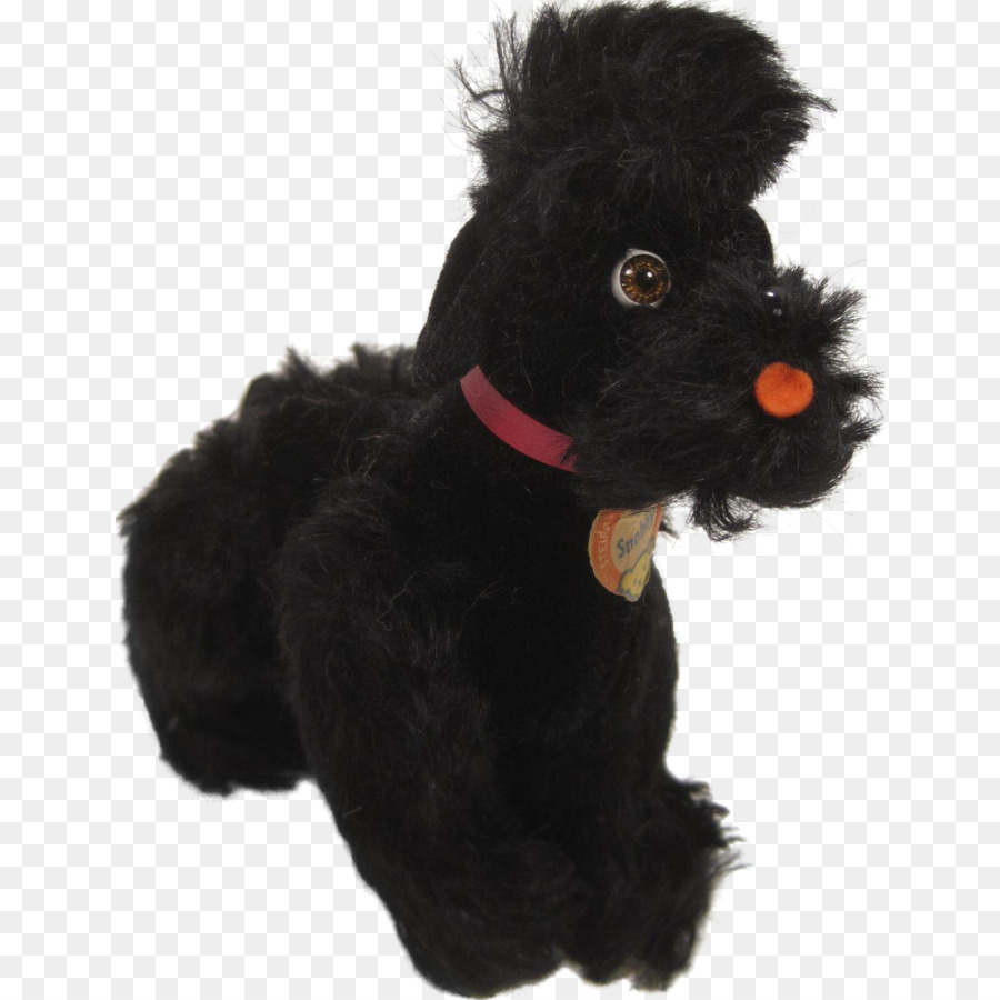 Schnauzer Miniatura，Schnoodle PNG