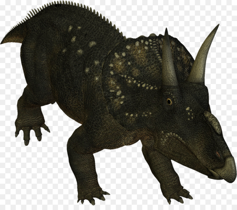 Triceratops，Prehistórico PNG