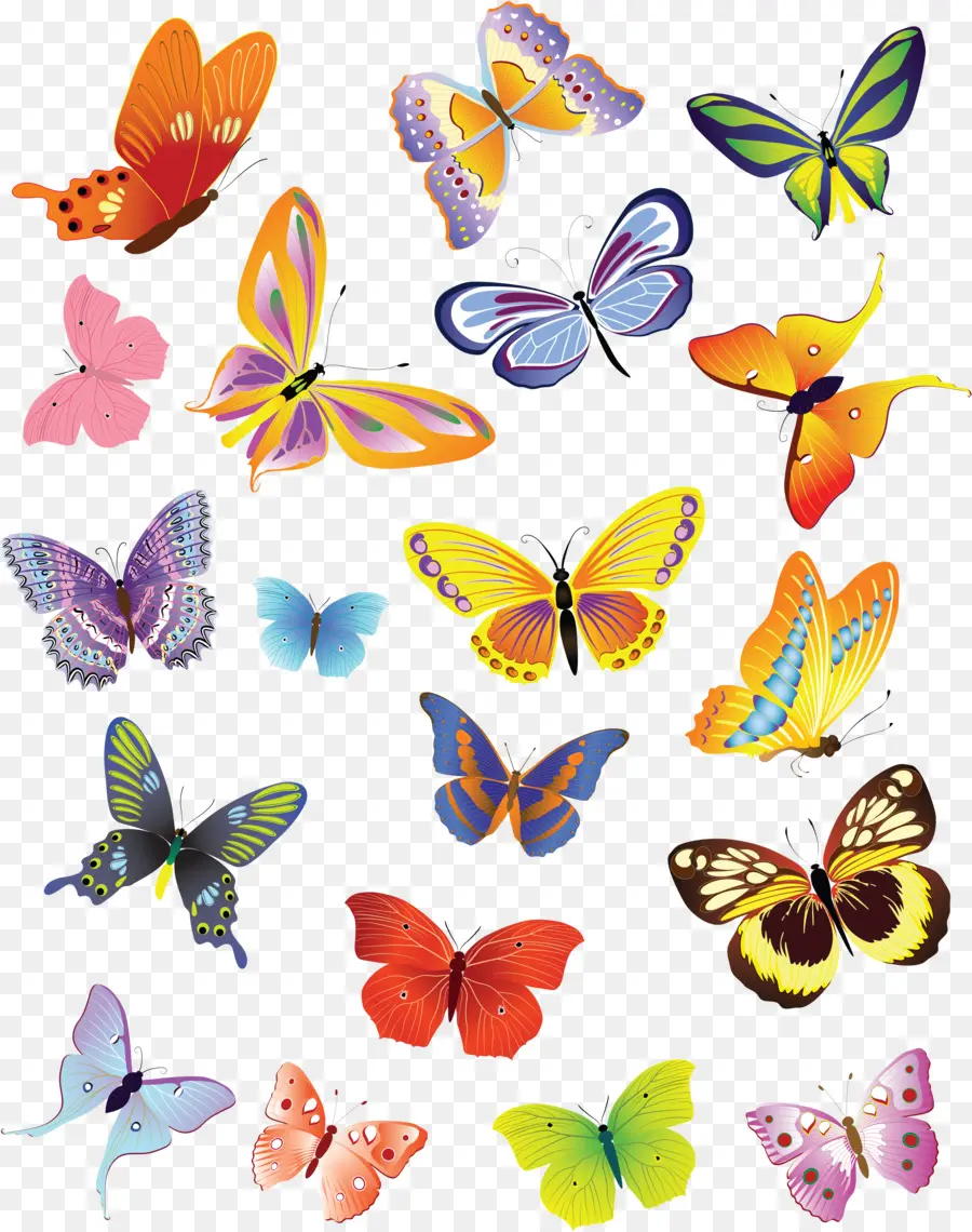 Mariposa，Dibujo PNG