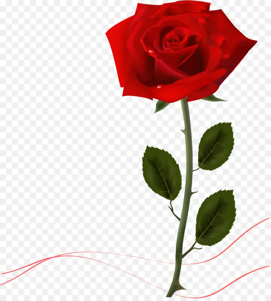 Rosas，Ramo PNG