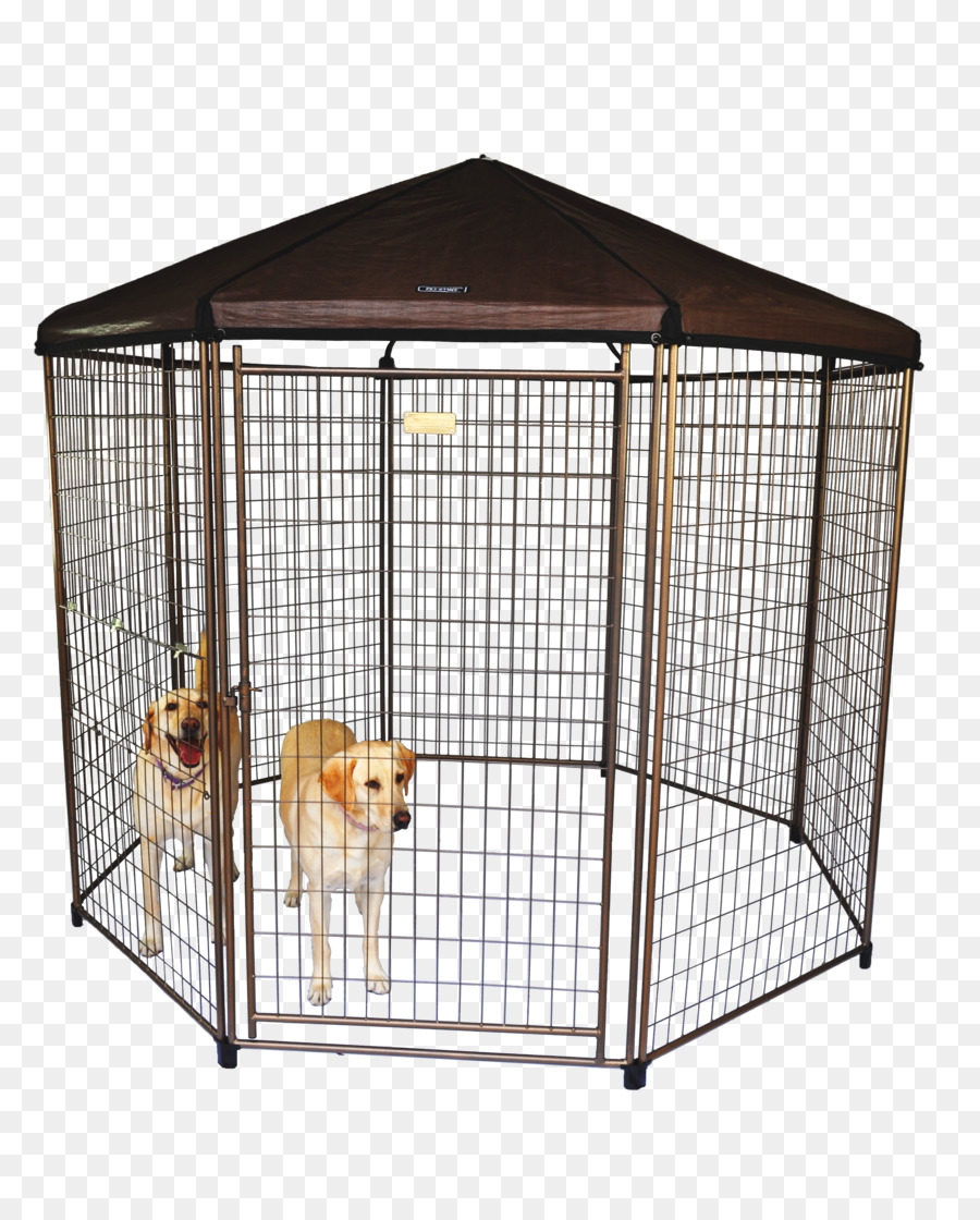 Perro，Cajón Para Perros PNG