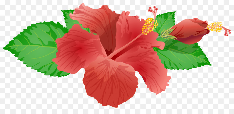 Flor，Royaltyfree PNG